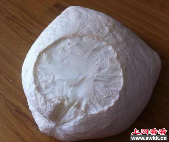 新疆发现大量白色太岁 图