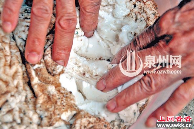 泉州一村民溪边捡回一坨 疑似太岁 图