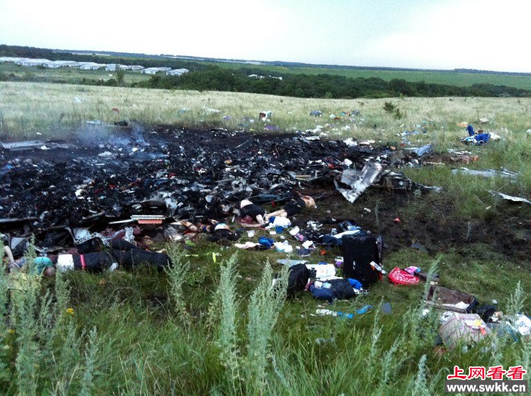马航MH17客机坠机 疑被导弹击落 现场图片收集 组图