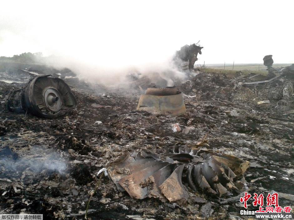 马航MH17客机坠机 疑被导弹击落 现场图片收集 组图