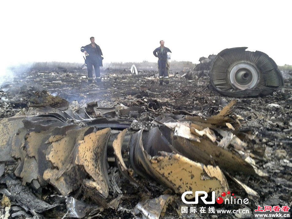 马航MH17客机坠机 疑被导弹击落 现场图片收集 组图