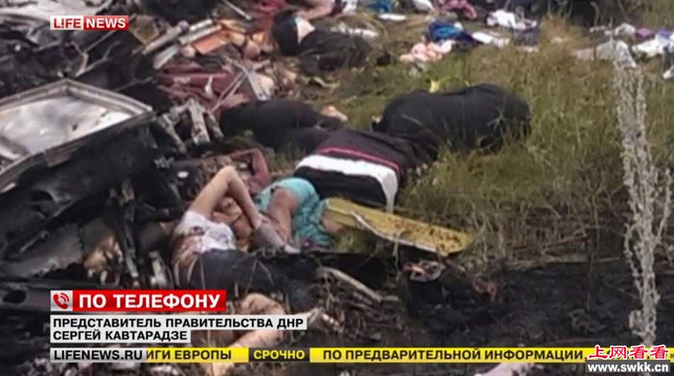 马航MH17客机坠机 疑被导弹击落 现场图片收集 组图