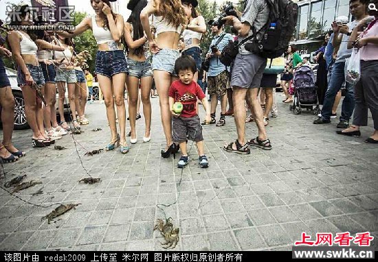 三里屯现美女遛螃蟹 图