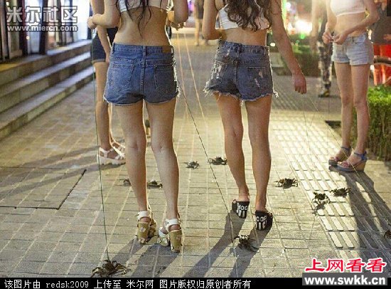 三里屯现美女遛螃蟹 图