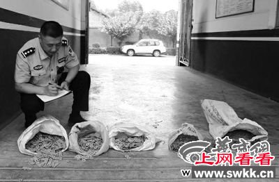 陕西现两千年前古钱窖