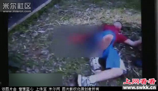 男孩动物园喂老虎被咬掉一只手 图
