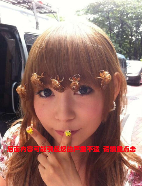 慎戳！日本女星头顶千虫玩重口味自拍
