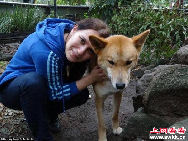 美女与野兽波兰美女与猛兽亲密沟通 图