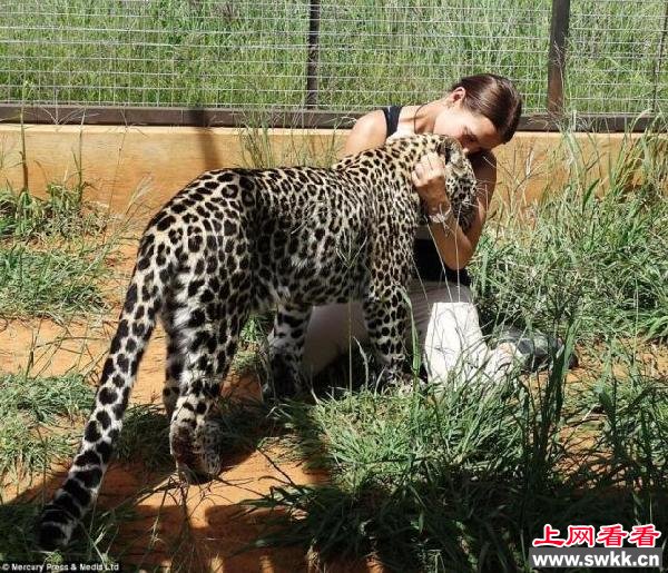美女与野兽波兰美女与猛兽亲密沟通 图