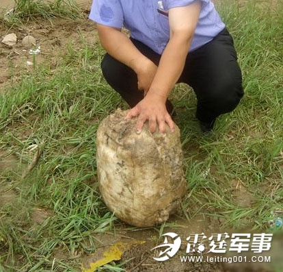 工地挖出五个不明生物 疑为太岁