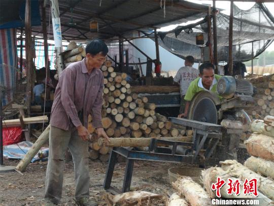 南宁锯木工长神似马云走红