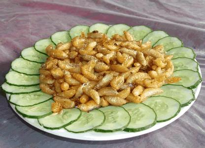 昆虫食品