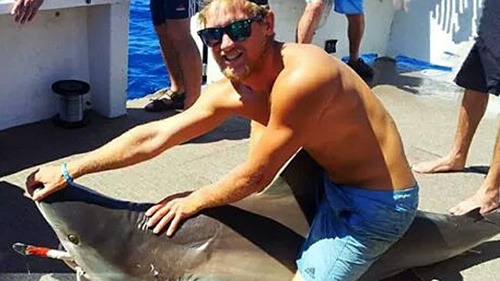 澳大利亚男子海中骑鲨鱼引发争议被批“愚蠢”