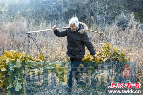 河南山村仅剩4名老人 曾是“世外桃源”(图)