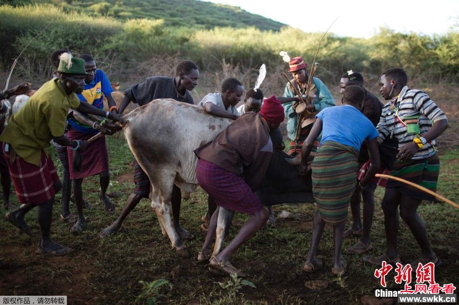 肯尼亚女孩被父母卖作新娘换取牛羊