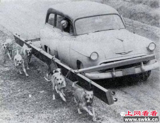 荒谬发明