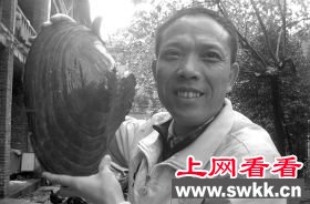 鱼塘里捞出10斤重的河蚌王(图)
