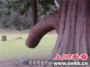 中国10大流氓景色你知道多少？