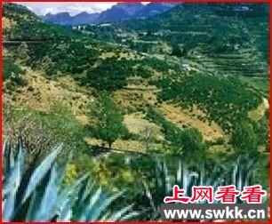 　　起死回生的圣泉----法国有个叫劳狄斯的小镇，镇上的一个岩洞内有一股清泉，泉水以其神奇的治病功能吸引世界各地的人前来，这就是闻名全球的圣泉。每年约有430万人去劳狄斯，其中不少人是病入膏肓的病人。在124年中，为医学界所承认的奇迹达64例。这种“起死回生”的奥秘究竟何在呢?