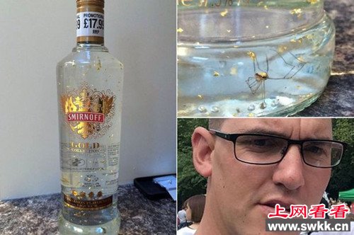 高档伏特加瓶底现蜘蛛搅毁圣诞节送礼计划（图）