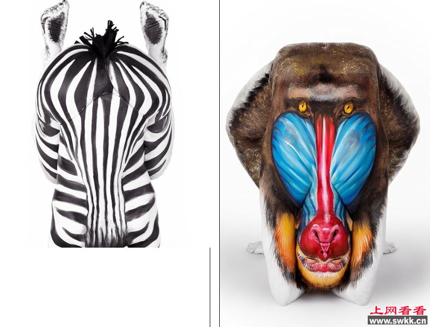 人体彩绘艺术艺术家利用光学技巧将人体模特变为野兽