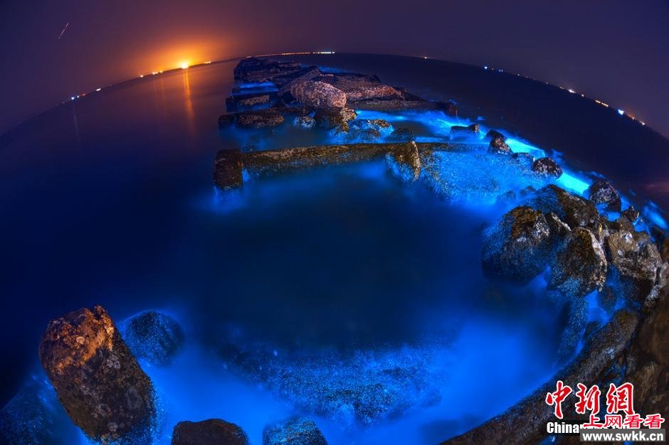 山东惊现蓝色荧光海 微生物所致