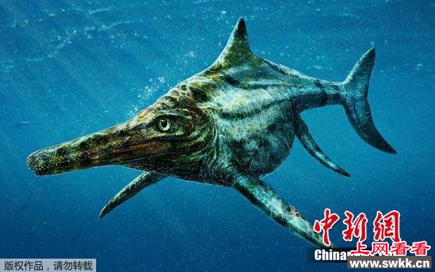 侏罗纪时代巨型海洋“杀手”长4米外形似海豚
