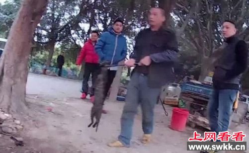 据档主称,活猫23元一斤包宰杀拔毛和烘烤,活狗19元一斤,如果要货数量多还可以接受电话预订。但当记者询问这些猫狗的来源时,档主却显得非常警觉,只说是在别的地方拿货,他们只赚一点差价。