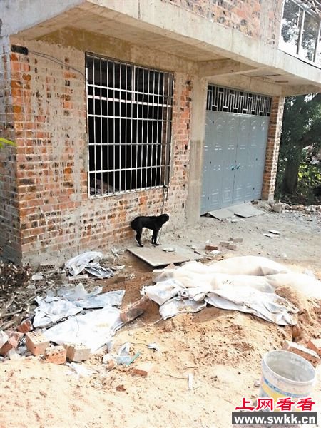65岁独居老人在家猝死尸体遭家中2条狗啃食