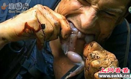 站在食物链顶端的男人-贝爷