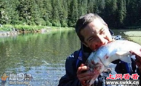 站在食物链顶端的男人-贝爷