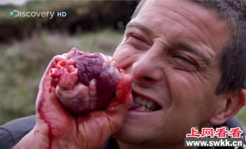 站在食物链顶端的男人-贝爷