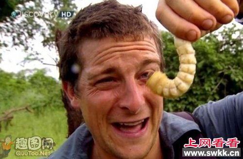 站在食物链顶端的男人-贝爷