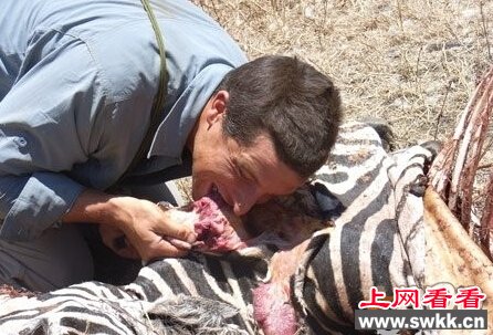 站在食物链顶端的男人-贝爷
