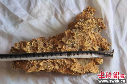 狗头金！新疆牧民捡到15.7斤似中国地图天然金块
