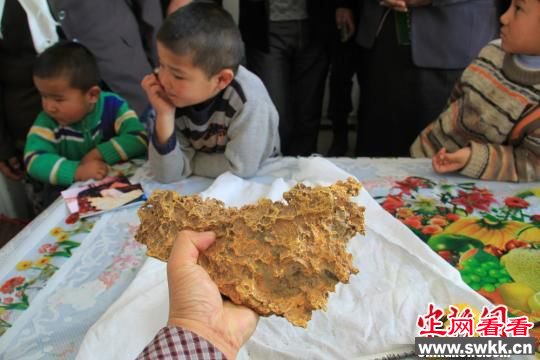 狗头金！新疆牧民捡到15.7斤似中国地图天然金块
