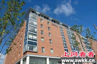 英国酒店让小狗当前台接待