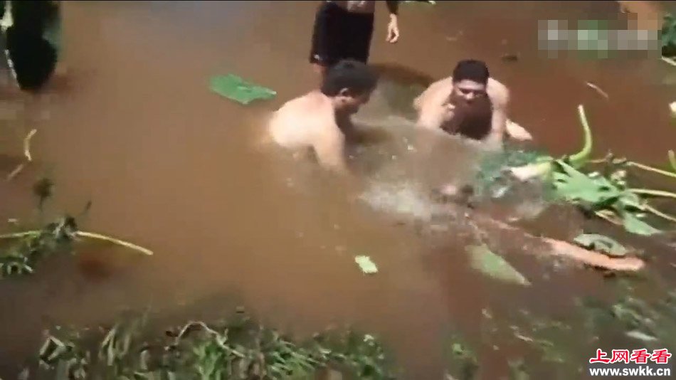 巴西少年水中清淤被吸走恐怖瞬间