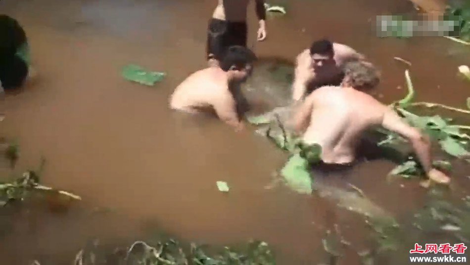 巴西少年水中清淤被吸走恐怖瞬间