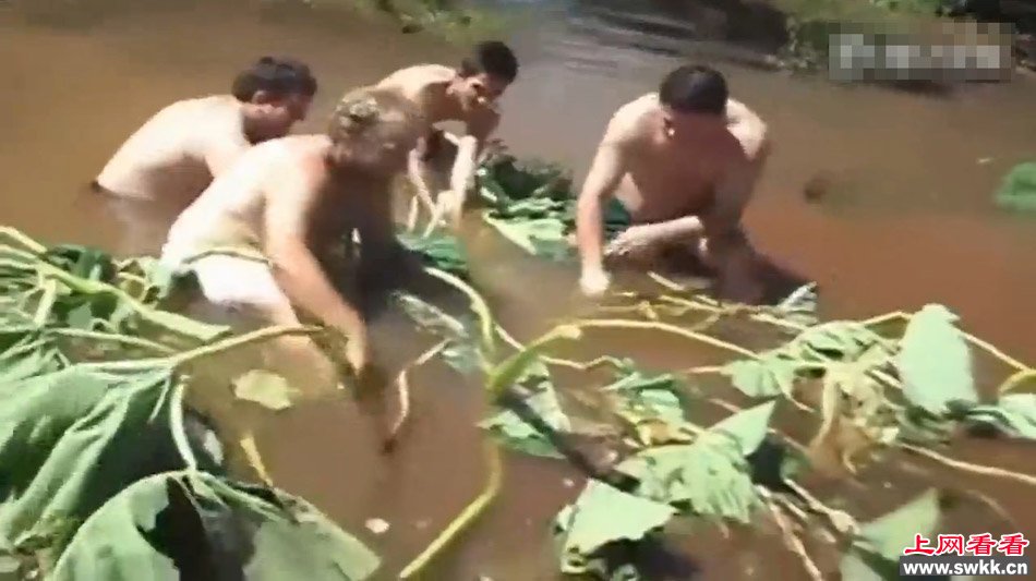 巴西少年水中清淤被吸走恐怖瞬间