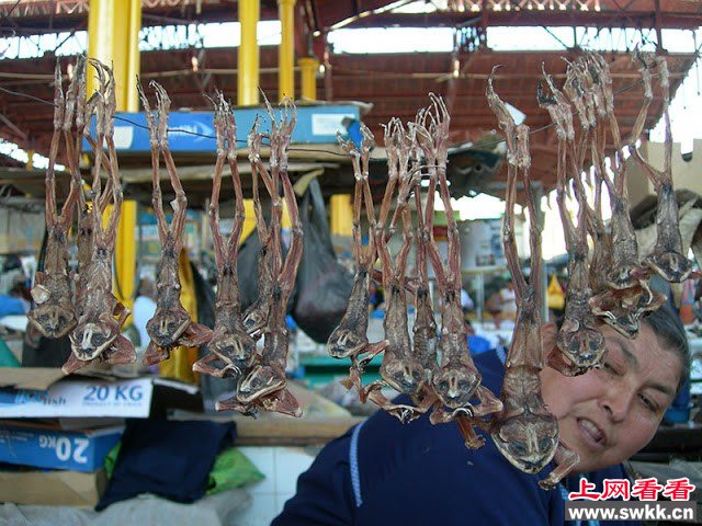 壮阳吃什么食物大收集!盘点各国男人奇葩壮阳补肾秘方