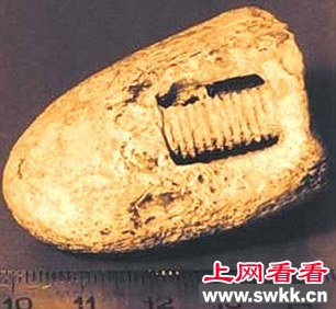 3亿年前“螺丝钉”是外星人遗迹还是化石