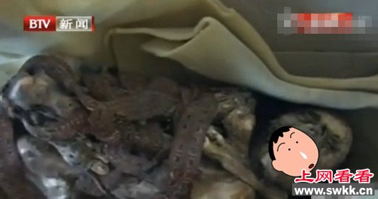 秘鲁清洁工拾死尸:实为900多年前木乃伊