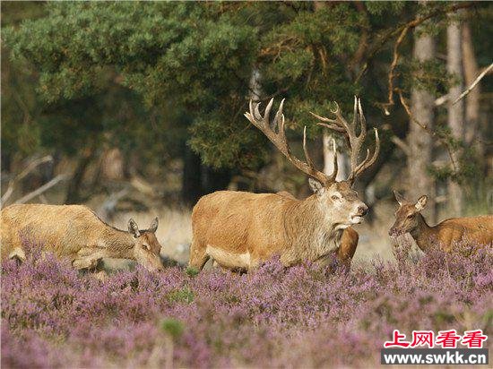 盘点全球最刺激十大人造冒险圣地