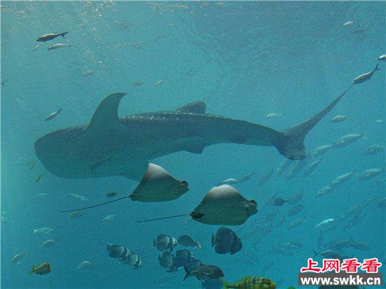 盘点全球最刺激十大人造冒险圣地