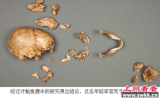 鲇鱼腹内发现纳粹遗骸 军官大约是在1940年被鲇鱼吞食 图