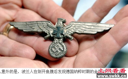 鲇鱼腹内发现纳粹遗骸 军官大约是在1940年被鲇鱼吞食 图