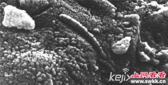 盘点：宇宙中可能存在外星生命的地方