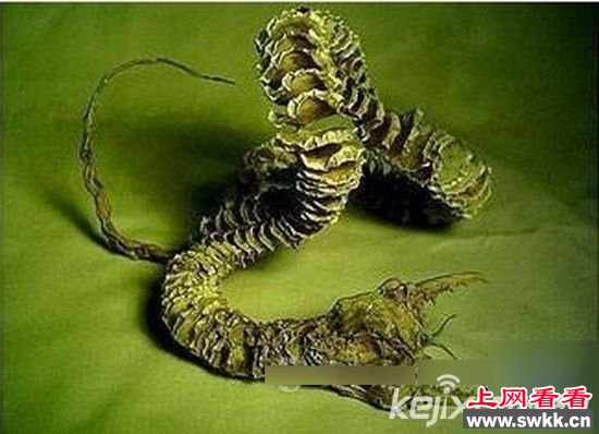 中国十大灵异事件真相揭秘