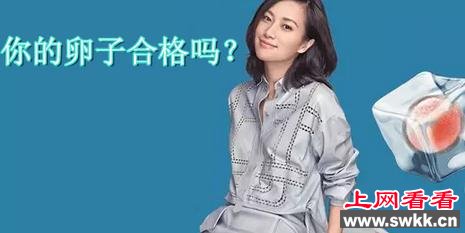 徐静蕾冰冻卵子 休假闲出来的决定